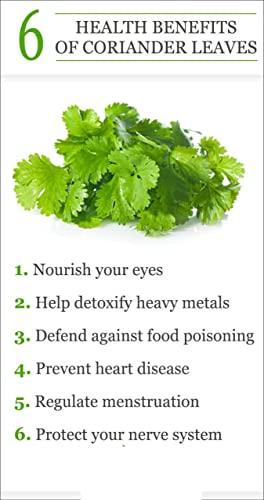 SHOODDH SHOODDH Green Coriander Leaf Powder | Natural Dhaniya Leaf Powder 1 kg + 1kg