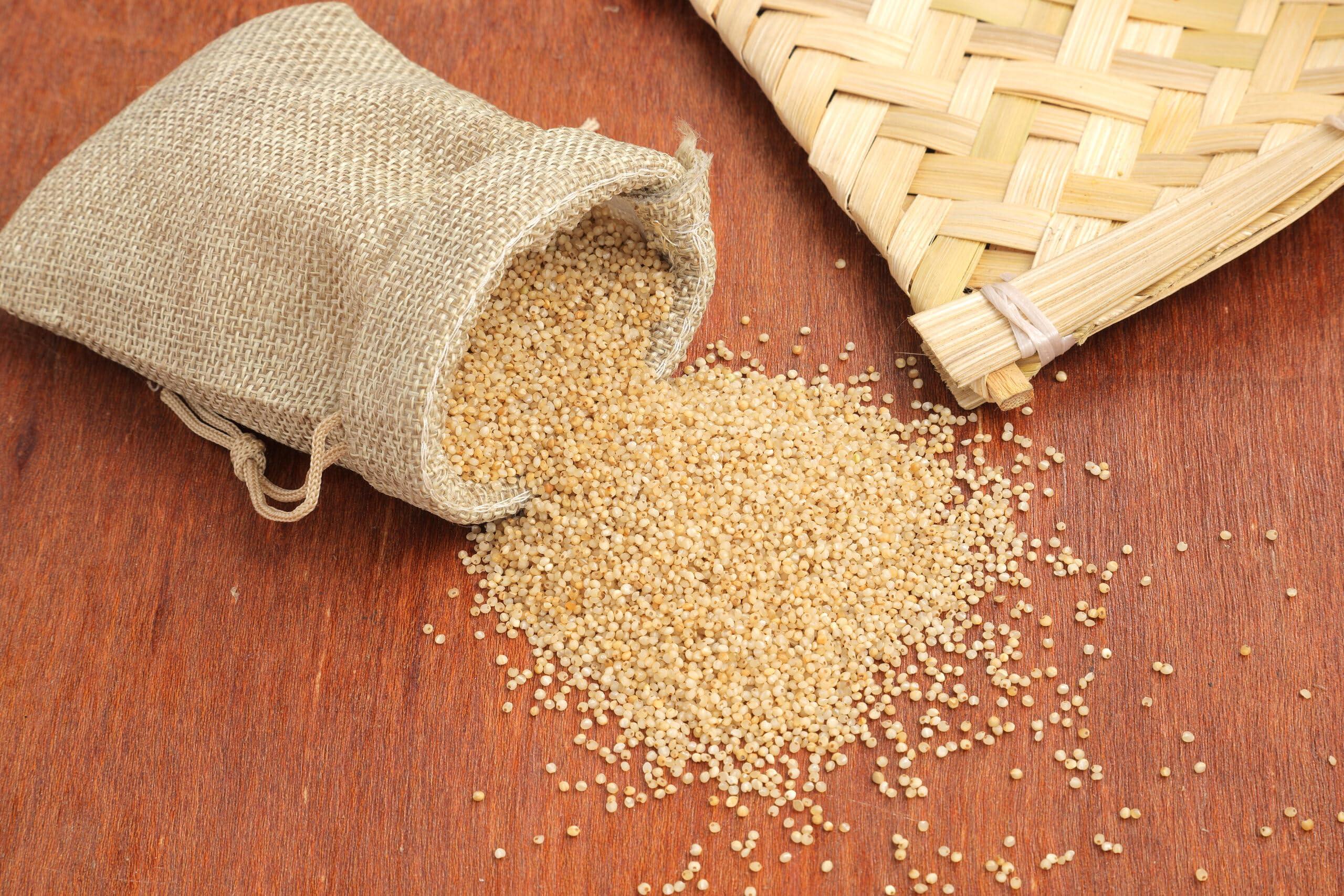 Youpick Aplenty Samak Chawal 400g | Sama Rice For Fast | Samvat Ke Chawal | Barnyard Millet | Vari | Bhagar for Vrat | Navratri Upwas Rice | ( / )