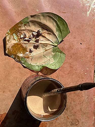 BANDHAL BANDHAL- Sabut Kattha 50 Gm. Dry Catechu for Paan White Kattha.