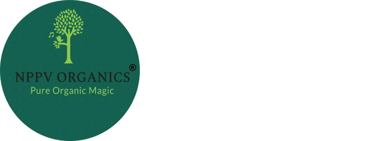 NPPV ORGANICS NPPV ORGANICS Natural Urad Dhal/ Black gram/ Ulundu dal (Without skin, unpolished, unsplited) Loose Pack 100% Pure & Organic (1 Kg)