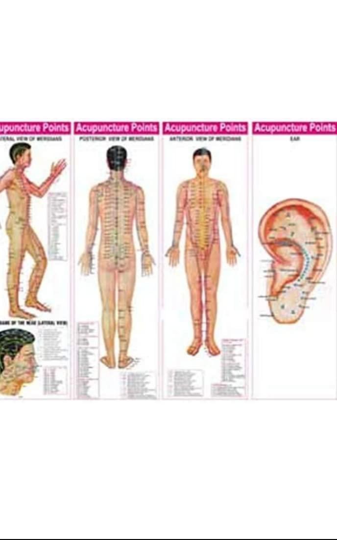 AcuRite AcuRite Acupuncture points chart set of 4, paper back, language english, wall chart