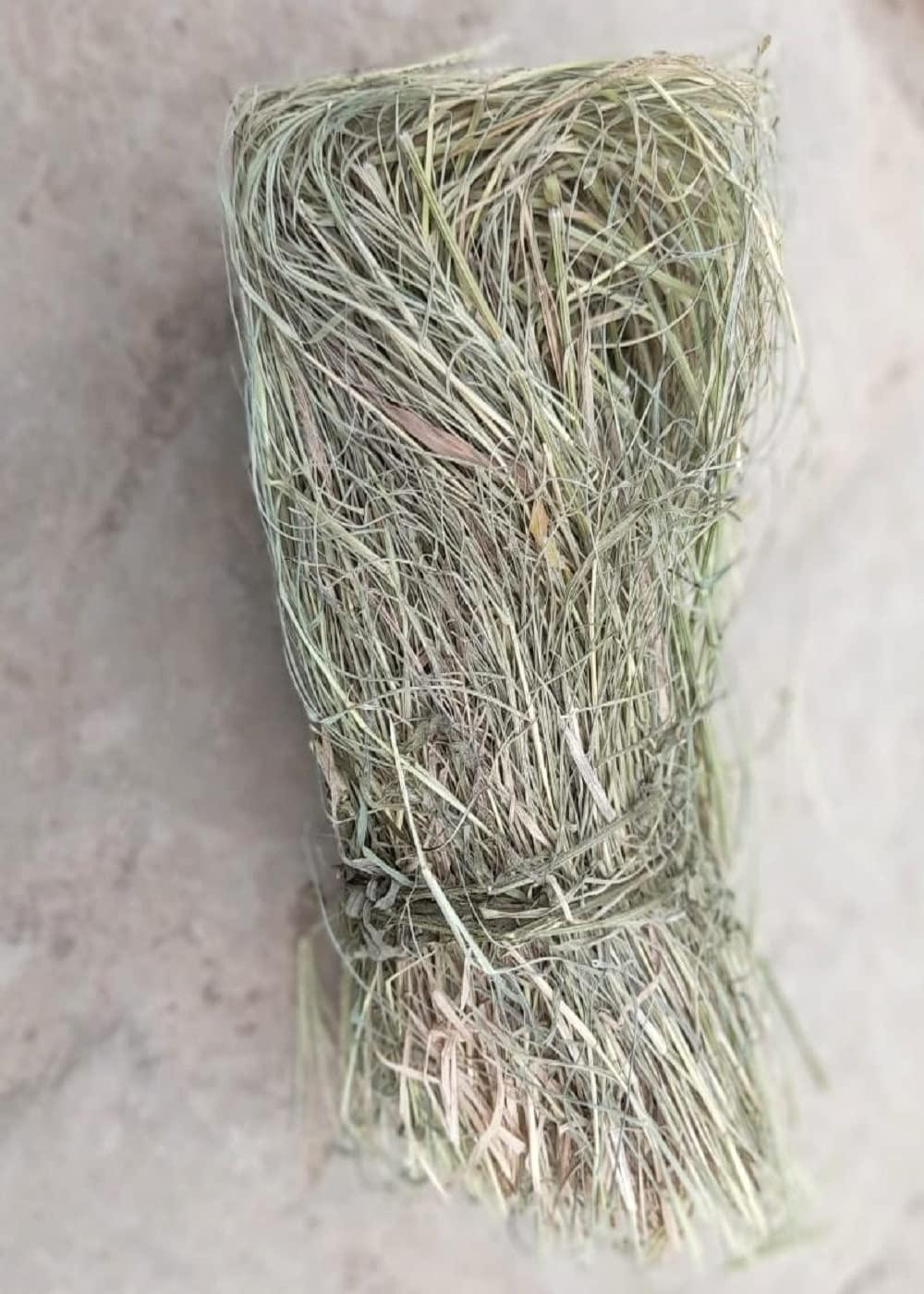 indianvedic Dried Dry Doob Ghaas Durva Grass Bahama Ghas Indian Couch Arugampul | Cynodon dactylon 250gm