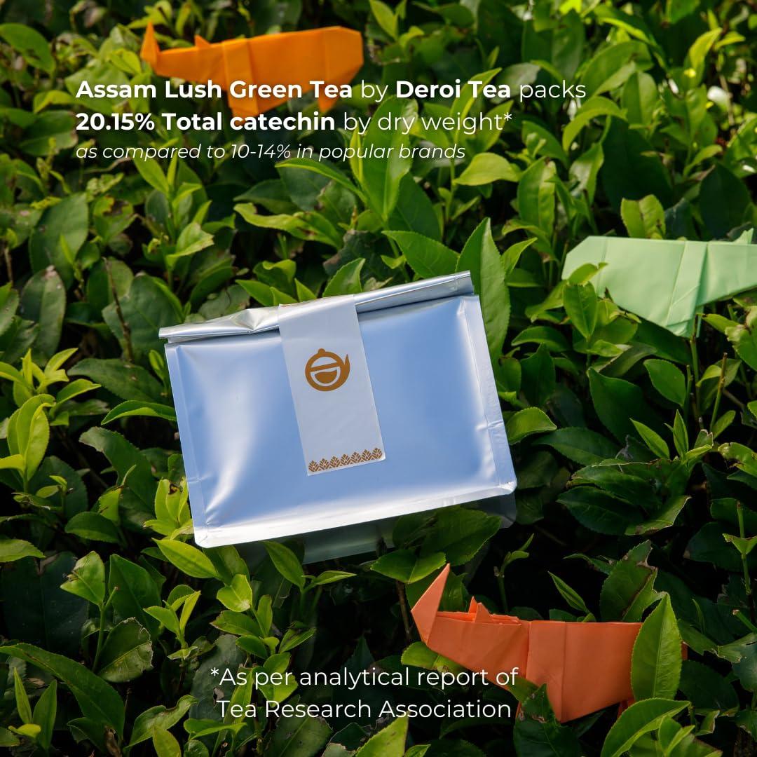 Deroi Tea DEROI TEA Assam Lush Green Tea | CARBON-FREE DRIED TEA | 100% Natural Whole Leaf | Assam Tea | 1Bud & 2 Leaves| Antioxidant Rich | Bitterless | 100 g - 60 Cups | Pack of 5