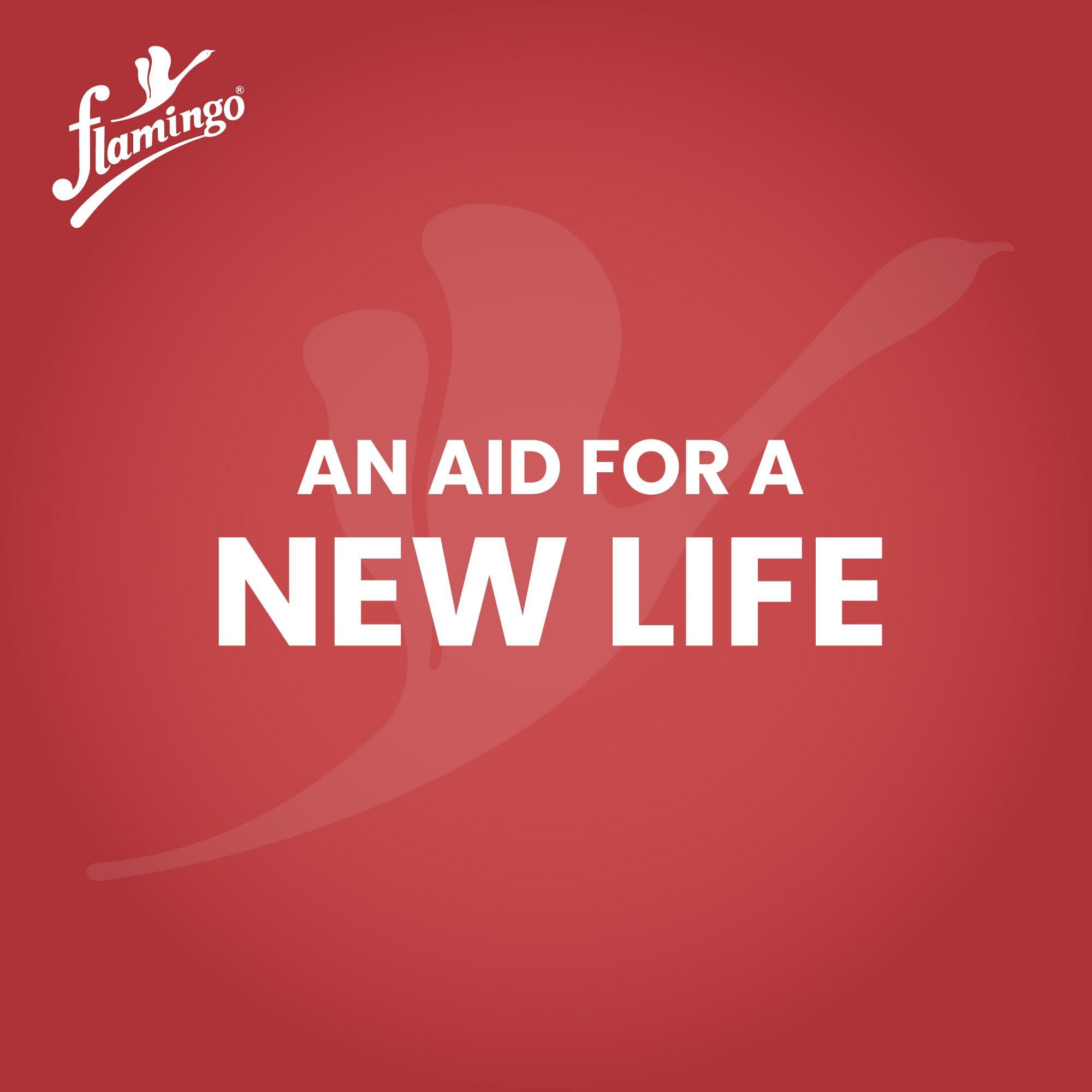 Flamingo Flamingo Lacepull Lumbo Scaro Belt | LS Belt with Back Support for Lower Back Pain Relief | Black | Special