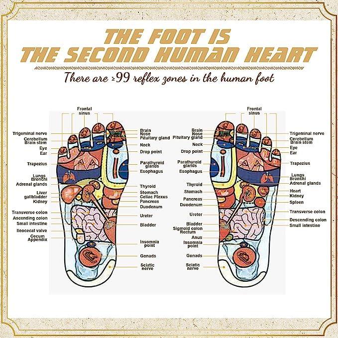 Luteti Luteti Cat's Paw Shaped Foot Roller Massager, Relieves Heel and Arch Pain, Relaxes The Body, Cute and Practical Gift, a Must for Runners, Effective for Plantar Fasciitis