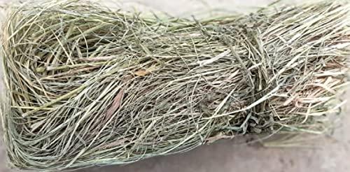 indianvedic Dried Dry Doob Ghaas Durva Grass Bahama Ghas Indian Couch Arugampul | Cynodon dactylon 250gm