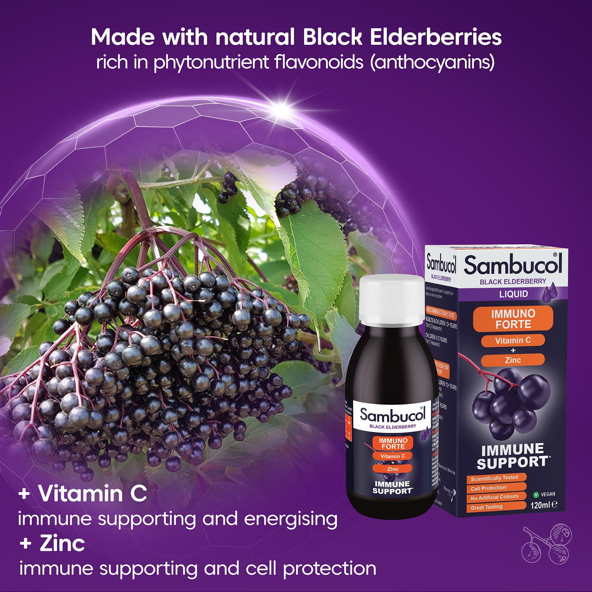 Sambucol Sambucol 120ml Immuno Forte Liquid by SAMBUCOL Black Elderberry Liqu