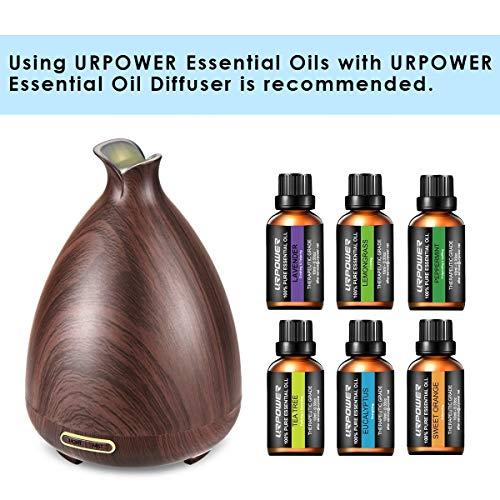 URPOWER URbeauty Essential Oils, Upgrated 6 Aromatherapy Essential Oil Diffuser Essential Oils 100% Pure Lavender, Peppermint, Sweet Orange, Eucalyptus, Tea Tree, Lemongrass Essential Oil Gift Set 10ml/each