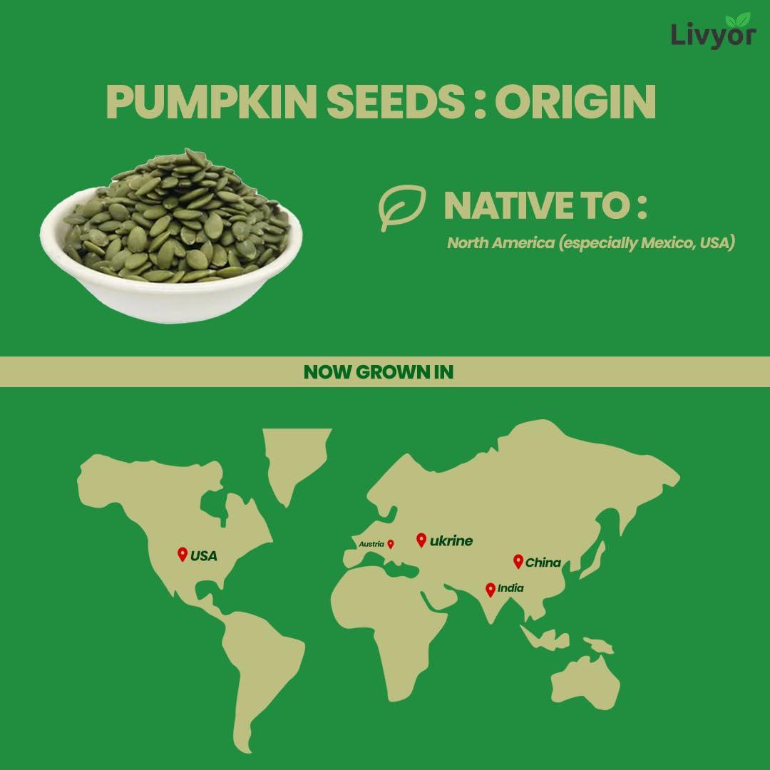 LIVYOR LIVYOR Roasted Pumpkin Seeds, Lightly Salted, Full of Protein and Fiber Rich Superfood, High in Magnesium, 1kg