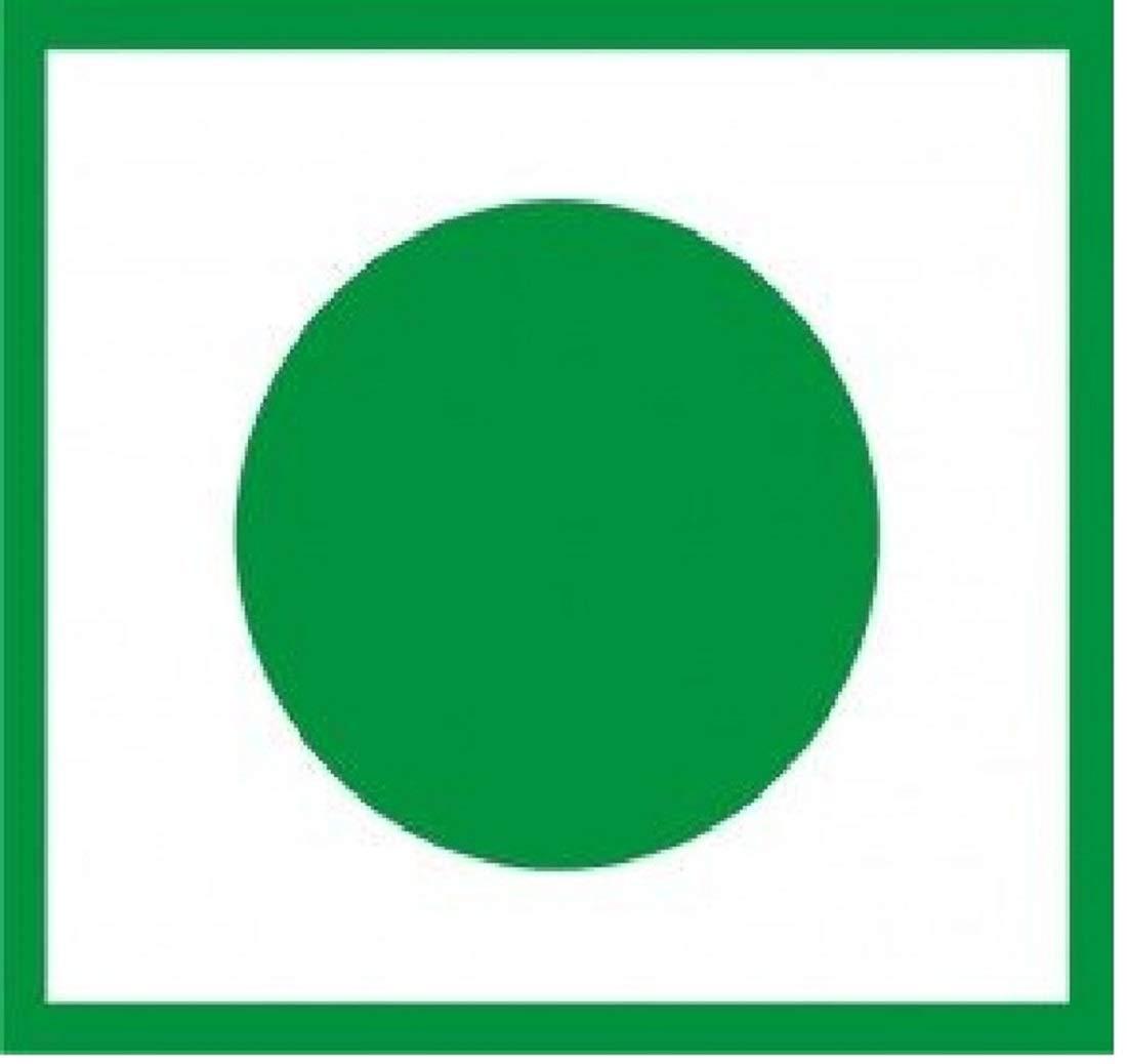 nature's velvet Natures Velvet Lifecare Soy Protein, Vegetarian and Natural, 300 gms - Pack of 1