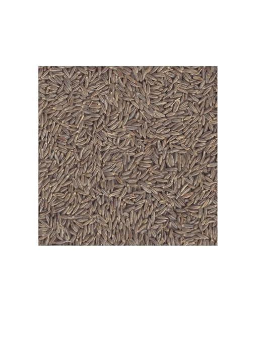 renewtria RENEWTRIA Cumin Seeds (1200 gms Jeera by The Natural Food) (1200g)