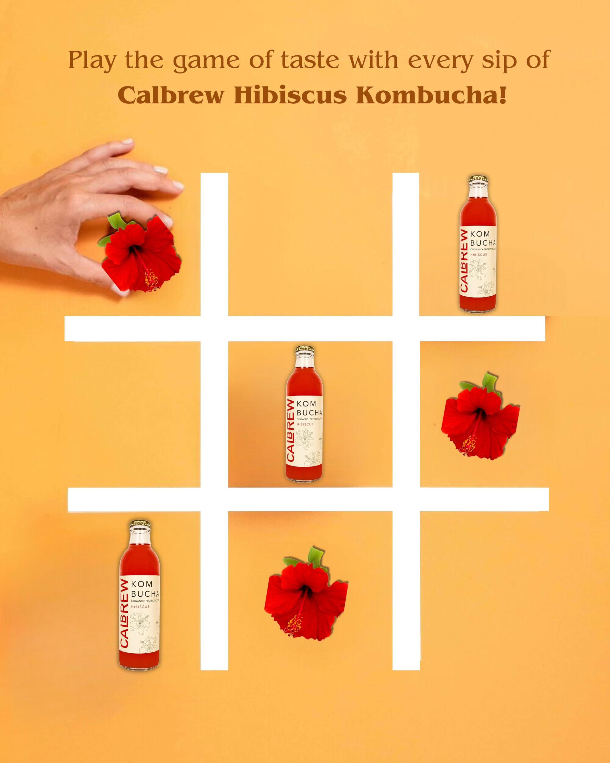 CALBREW CALBREW \"Kombucha + Kefir Combo Pack - Probiotic Rich Tea Fusion | Raw and Unfiltered | Gut-Friendly and Energizing\" |6-Pack Assorted Flavors ||250ml|