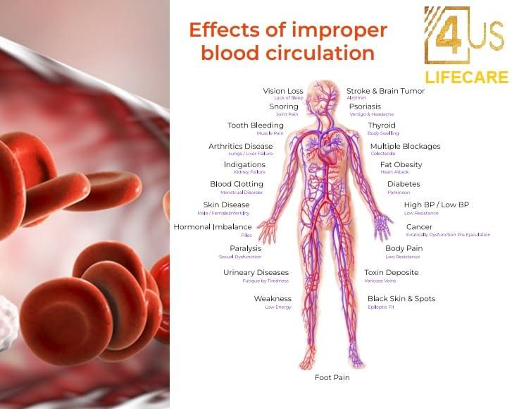 NESTCIERGE NESTCIERGE Bio Energy Magnetic Field Sleeping Therapy Mattress