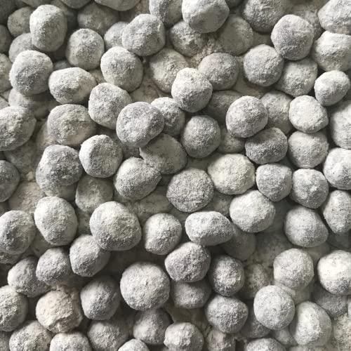 Dilbahar's Dilbahar's Yummy Digestive Aam Goli 100g Pack of 4