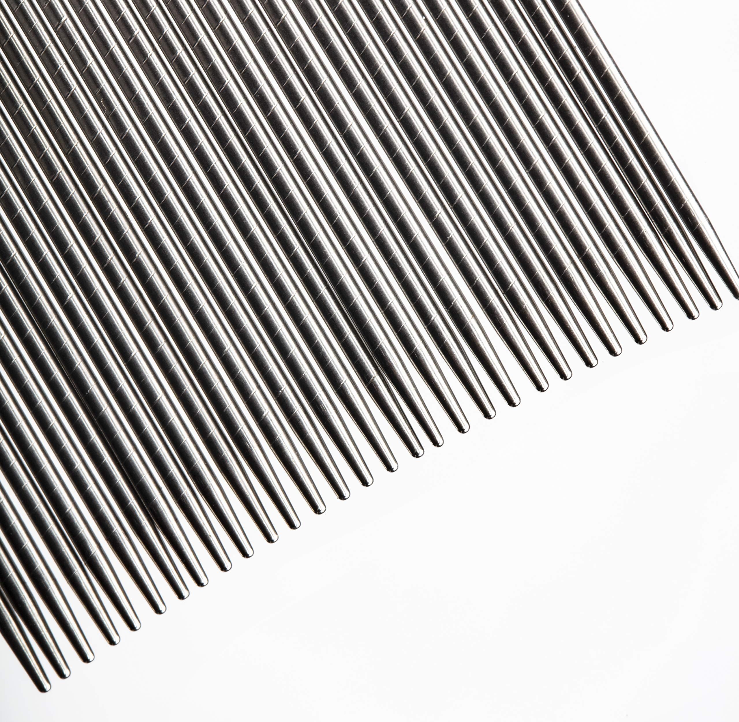 Clinical Guard ClinicalGuard Professional Lice Comb for Head Lice Removal, Nits, Flea and Lice Eggs with Cleaning Brush (2 Pack)