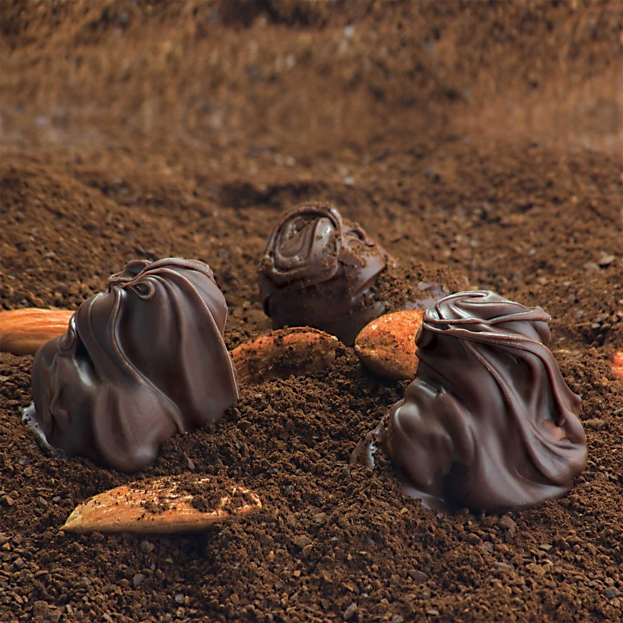 Nutella N Nutella Hazelnut Chocolate Spread - 750gm, Pack of 1+ Ferrero Rocher Cholate 24 Piece