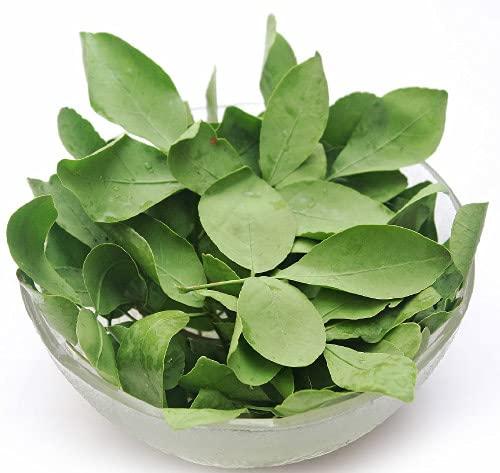 Vi Vethan Vi Vethan Vilva ilai powder 100gm