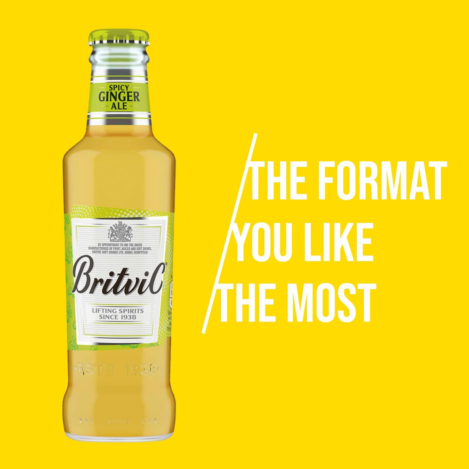 Britvic Britvic Ginger Ale, 200 ml