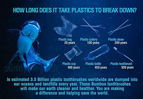 EveEco 12 Pack I Bamboo Toothbrush I Soft Bristles Best For Sensitive Gums I Charcoal I Vegan I Natural Wood I BPA Fee I Recyclable I Compostable I Biodegradable | Environmentally Friendly | By EveEco