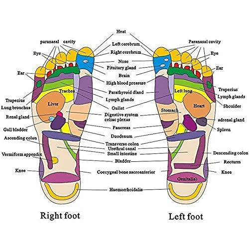 EKIN EKIN Magnetic Therapy Paduka Slippers for Full Body Blood Circulation For Men and Women (Unisex) (5)