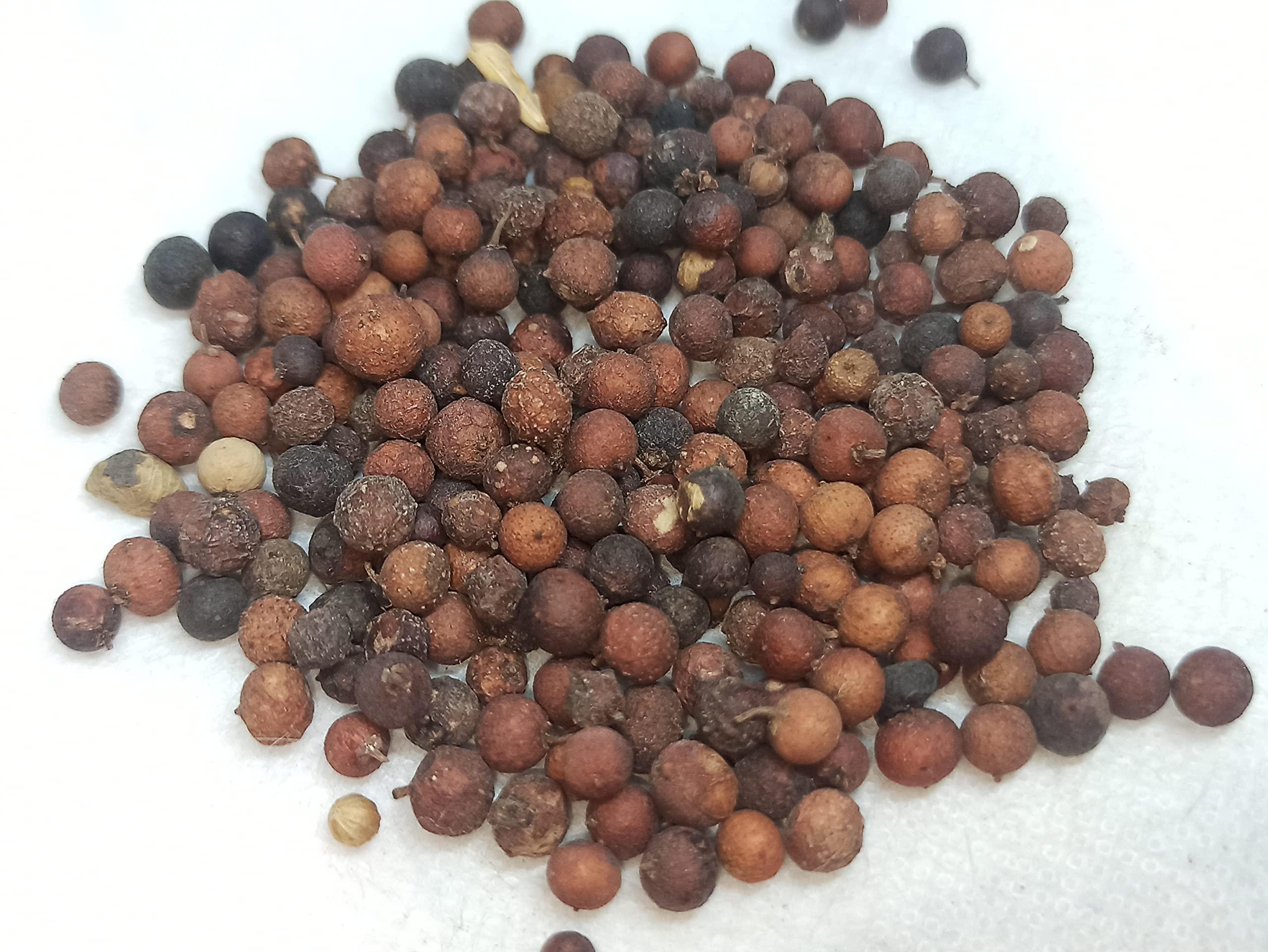 NavaFresh Basics NATURALIFE'S-*VAAI VIDAGAM*-FALSE BLACK PEPPER I Vilanga I vayu vilanga I Vay Vidang I Balbidang I Bhabhirang I Vayu Vidangalu I Vidang I Bidang I Bavidang I Bavidang I Bavadang (250 GRAMS)