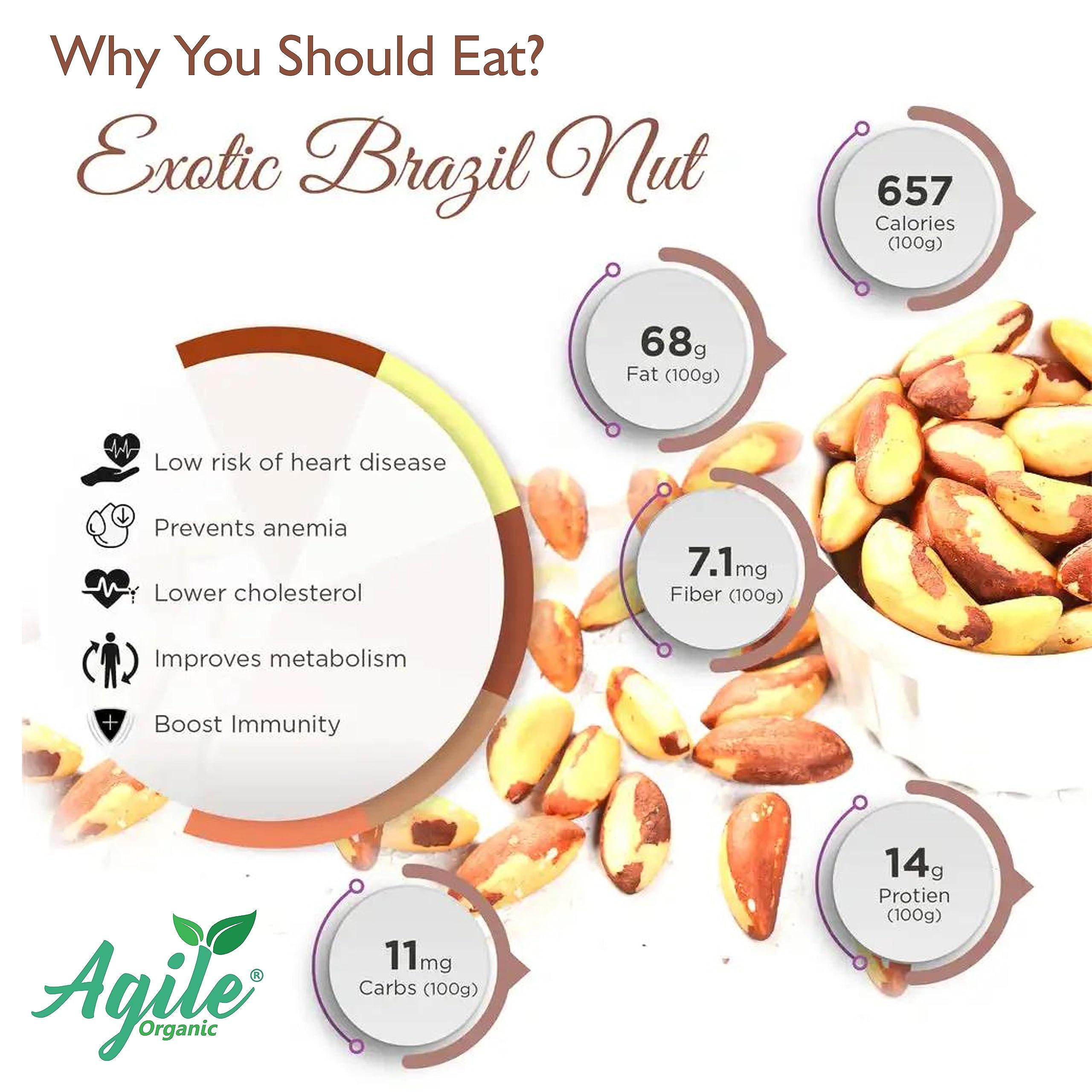 Generic CRUMBS Special Desi Ghee Thekua | Bihari Traditional Healthy Snack Pure Wheat f;our Thekua, Hand Crafted Crisp Crunchy Cookies | 400g