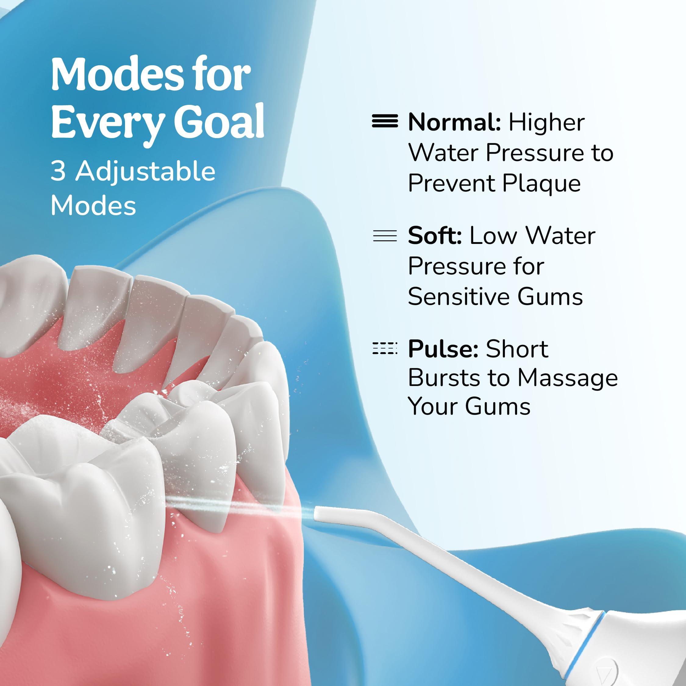 CARESMITH Caresmith Professional Cordless Dental Flosser | 300 ml Large Detachable Water Tank | 3 Modes | IPX7 Waterproof | Oral Flosser