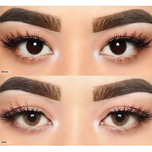 O-Lens O-LENS Russian Velvet Brown - Coloured Contact Lens (Monthly Disposable, -3.00 / 2pcs / Brown), Natural Looking & Comfy Eye Color Lenses