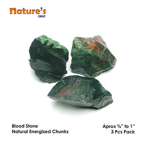 Nature's Crest Nature's Crest Blood Stone Natural Energized Raw Rough Chunks for Vastu Healing Mediation Reiki & Pooja (3 Pcs Pack)