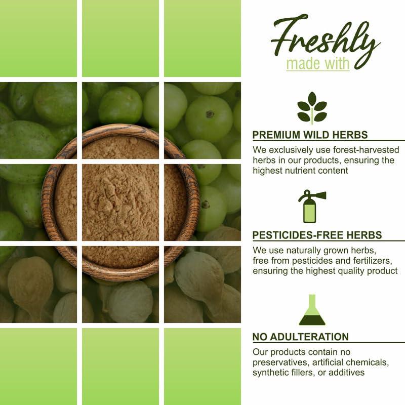 HerbalSpirit Herbal Spirit Triphala 3 2 1 Ratio Powder, 400gm | Triphala Churna Powder 1 2 3 Ratio | Triphala Powder 1 2 3 Ratio | 3 2 1 Triphala | 123 Ratio Triphala | Triphala 1 2 3 Ratio | Triphala Churna |