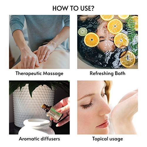 Scentattva.com Scentattva.com Eucalyptus Essential Oil | Pure and Natural | Aromatherapy, Diffuser, Humidifier | 15 Ml