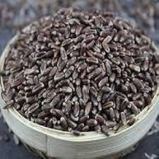 Eywa Seeds & Exports Pvt Ltd BLACK WHEAT FLOURS (1 KG) for eating and cooking | kale gehu ka atta | Produce of India from Organic Farms | BY EYWA