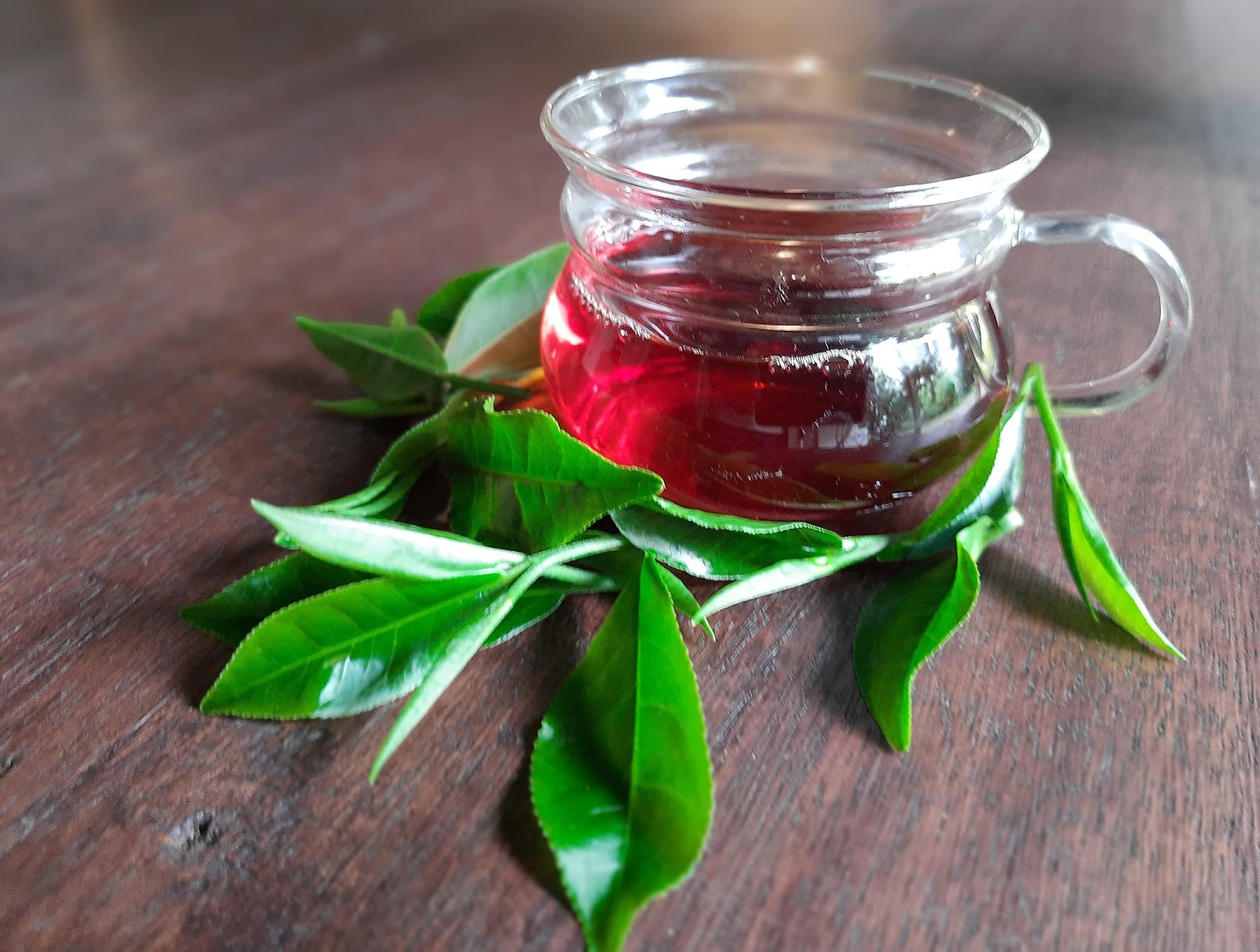 Hollonghabi Hollonghabi Single Origin Hand Plucked Assam Tea (500 gm) Shipped Within 48 hours from plucking.