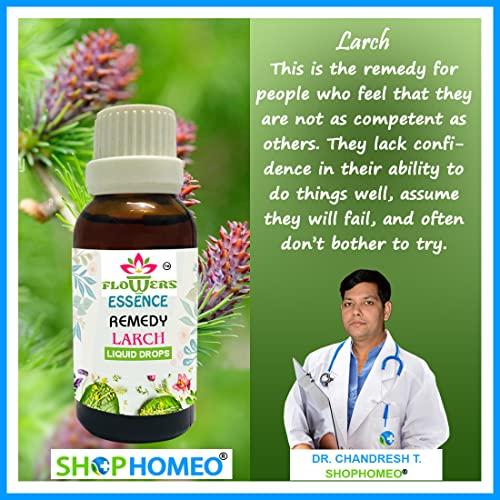 Shop Homeo & Herbal Larch 60ml - Bach Flower Remedies prepared from the Organic Concentrate (NOT A HOMEOPATHIC MEDICINE)