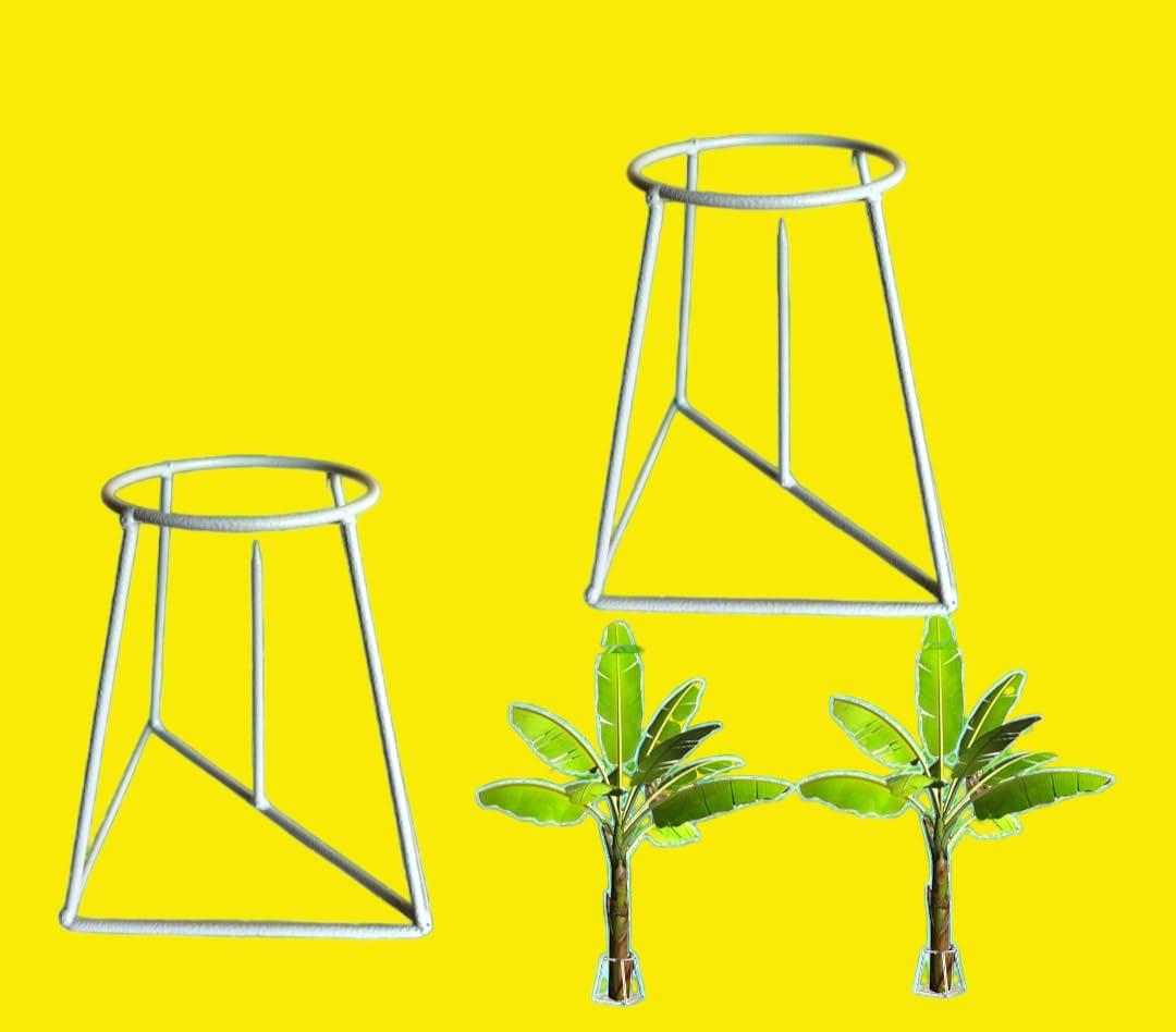 Stomata Gardens Stomata Decorative Banana Plant Stand for Ideal for Placing The Banana Plant/Tree/stem Stand for puja/Religious and Other Ceremonies Banana Leaf Stand for Pooja,Pack of (2)| banana stem holder