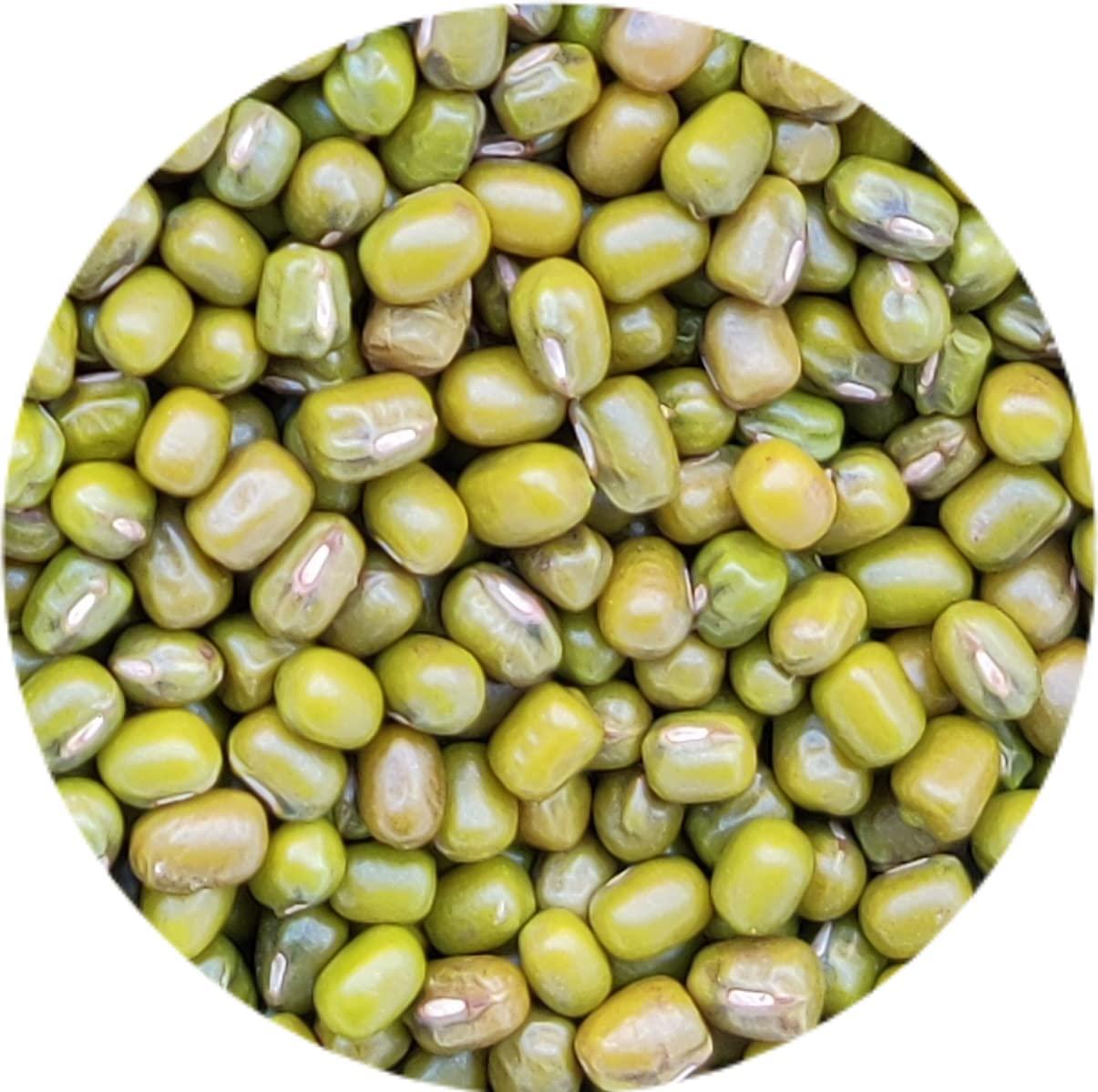 Kitchen Jungle Kitchen Jungle Seven Assorted Grains | 7 Dhan | Dhaan | sapt dhany for Pooja (  / 7 ) (10 Grams Each)