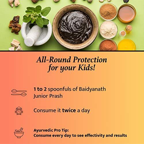 Baidyanath Baidyanath Junior Prash - 500g, Specially Formulated Chyawanprash for Kids