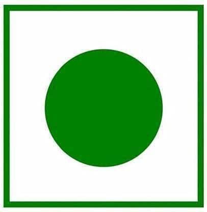 Generic Catch 1 Gram Salt 500 Sachet