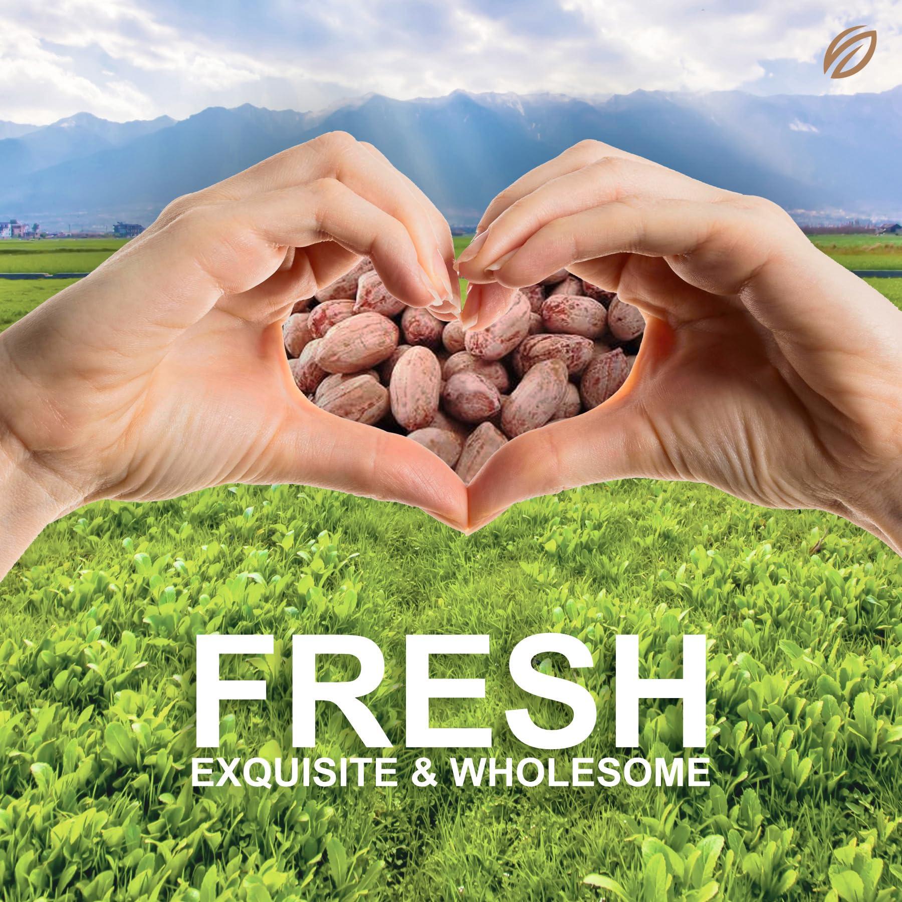 SHREGO SHREGO Khari Sing Roasted Salted Peanut, Snack & Namkeen (1440 Gm)