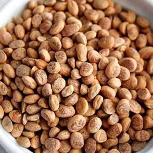 Organic Bites Organic Bites Almondette Seeds [Chironji or Charoli] (250)