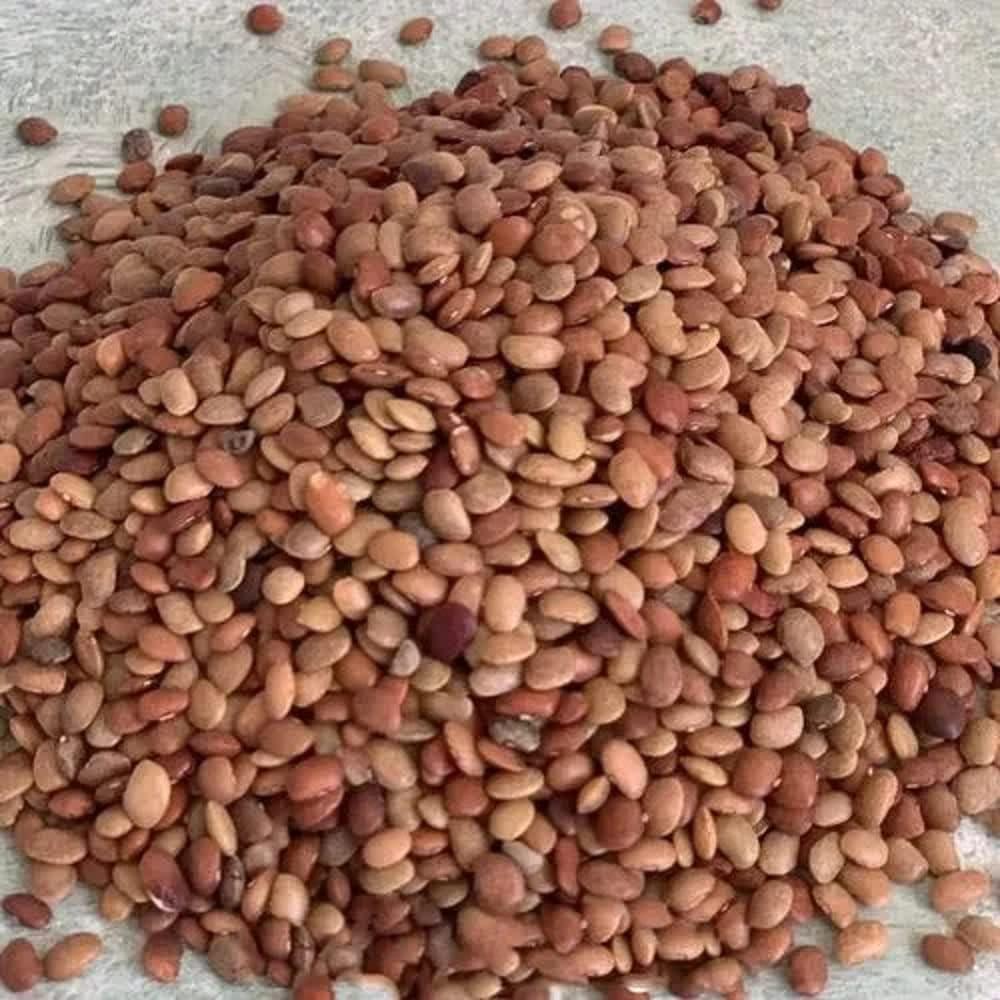 Veganic Veganic Kulthi Dal | Brown Horsegram | Kollu | Vulavalu | Kurthi Dal | Hurali Kalu | Kulthi Beans | Pulse | (900)