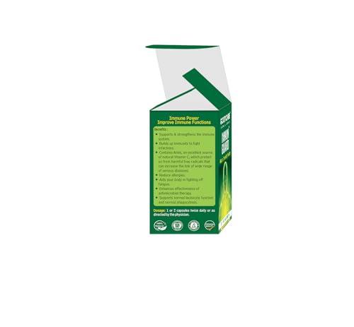 Generic Puck Sterilized Cream For cooking, dips & dessert (Pack Of 2)