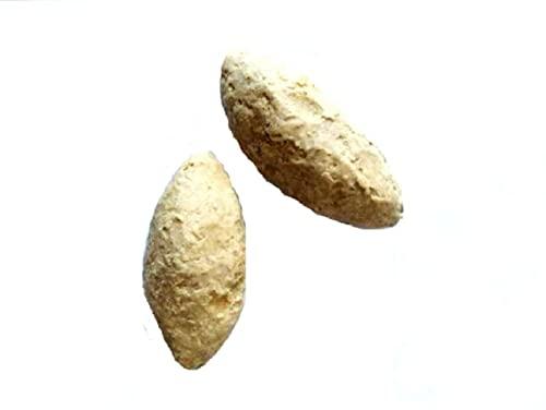 vinarghya vinarghya Aamsul Tail/Kokum Oil/Kokamba/Kokam/Bheranda/Murgal/Kaattampi/Murgina/Punaruli/Devana Huli/Tintali / 100g