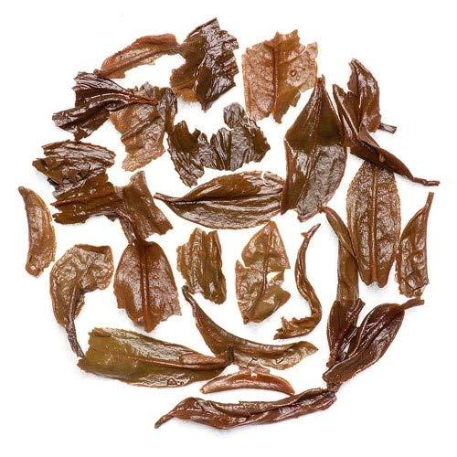 Mayukh Mayukh - Autumn Flush | Darjeeling Tea | Black Tea, Loose Tea Leaves | 100% Pure Darjeeling Tea | 100 GMS - 40 Cups