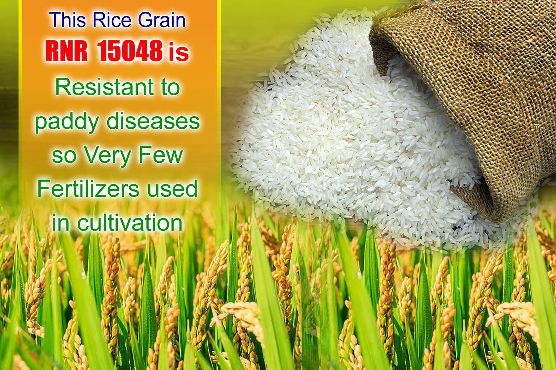 THINK3 THINK3 Diabetic Control White Rice RNR 15048 with Low glycemic Index (20 kg)