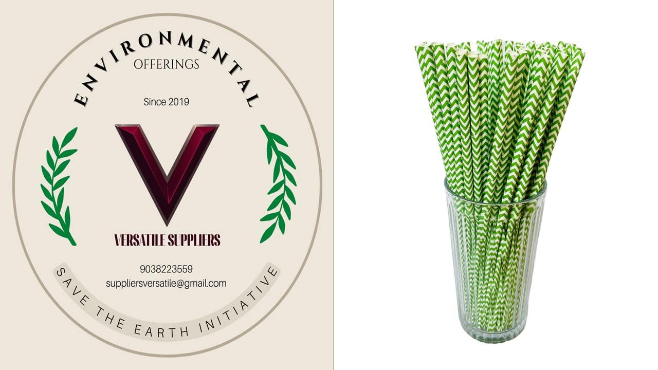 Generic Versatile Suppliers - Biodegradable Paper Straws (6mm, Green Waves, 100 Pieces)
