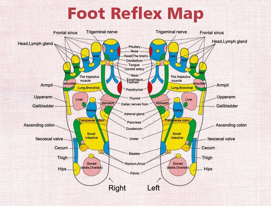 2heet 2heet Acupressure Massage Slippers, Reflexology Foot Massager Slippers Magnetic Massage Foot Acupoint Slipper for Men Women(Size:25cm)