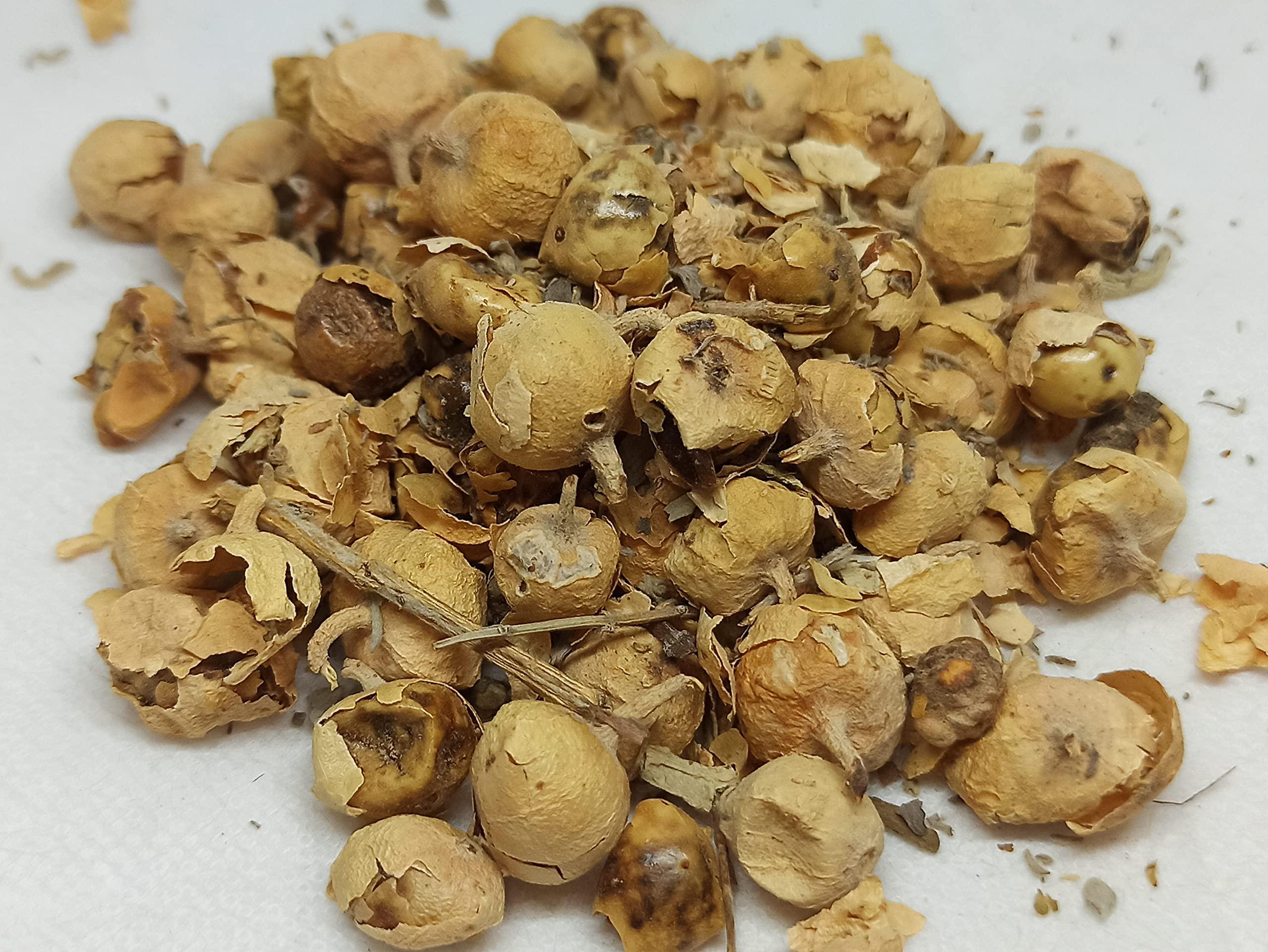 NATURALIFE NATURALIFE\'S-*PANNIR POO*-Indian Rennet Flower Dried I Withania coagulans Dunal I Paneer Poo/ I Paneer Phool/Paneer Doda I Panneru-gadda (250 GRAMS)