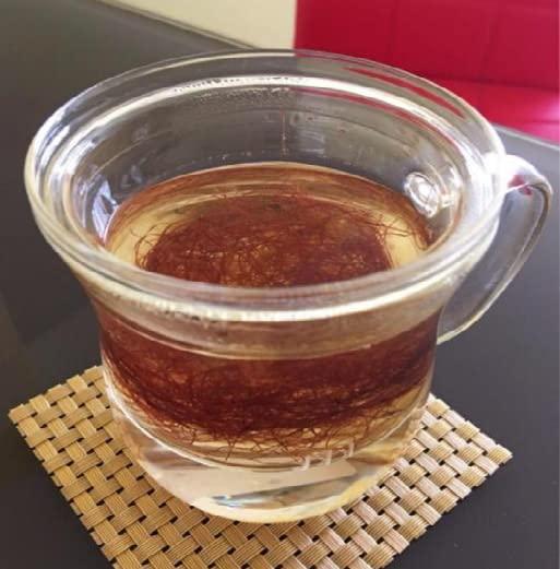 GABHISMEEN GABHISMEEN Corn Silk Tea for Kidney Stones, Helps Cleanse Liver, Supports UTI Health, Maize Hair, Herbal Tea (450gm)