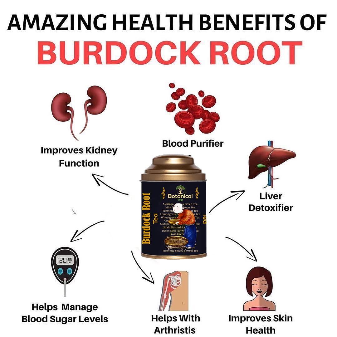 Botanical Sage Botanical Sage- Burdock Root Tea 100g | Good For Skin & Hair | Selected | Tea Cut | Luxury Tea